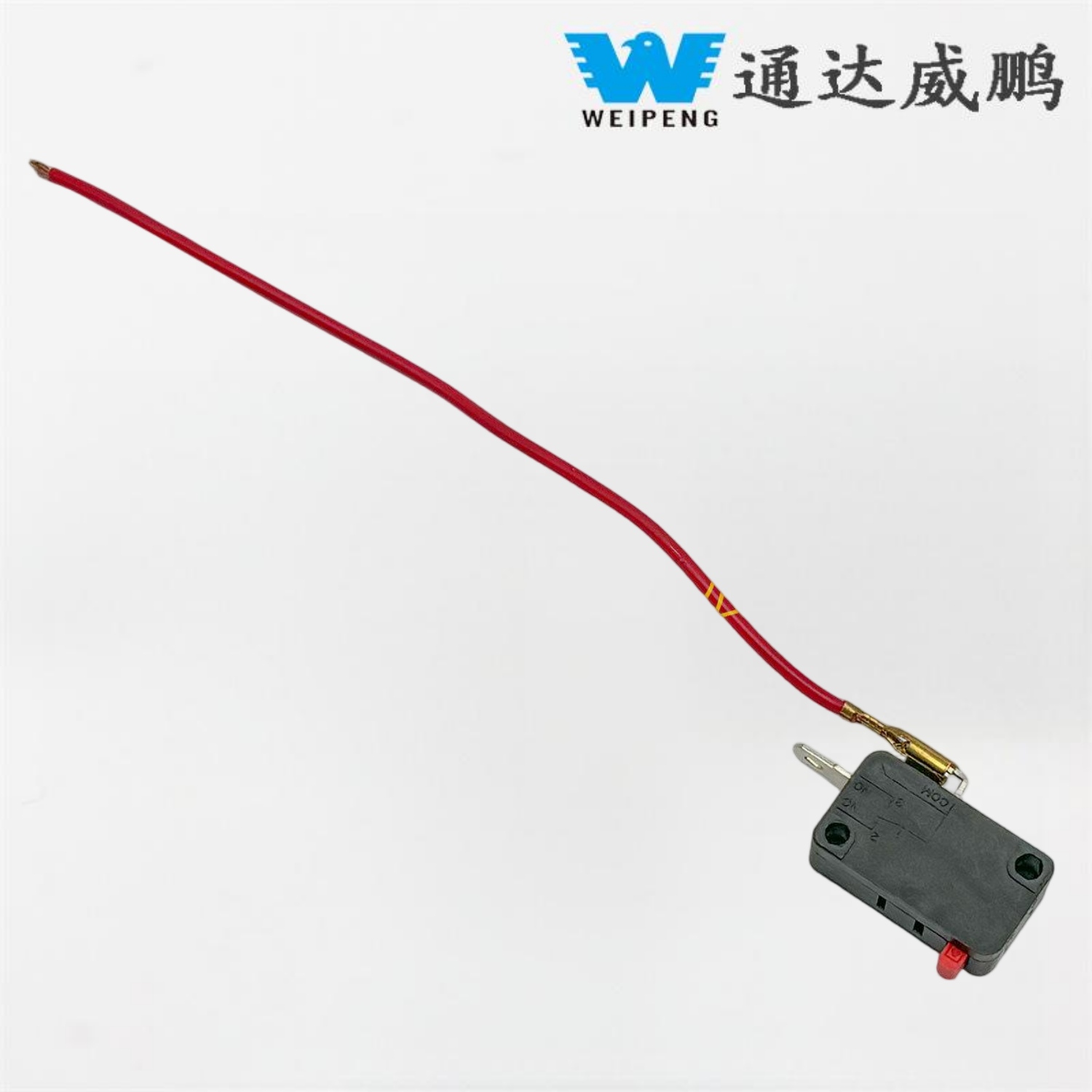 ماكينة غسيل السيارات مع مفتاح سلكي صغير